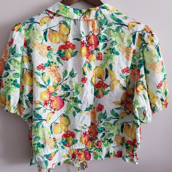 Lauren Conrad Fruit and Floral Crop Collared Tee XL - Picture 3 of 8